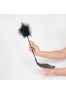 Feather tickler and whip secret play - Black