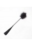 Feather tickler and whip secret play - Black