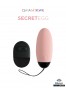 My vibrating secret egg - Pink