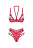 Cupide desir crotchless 2-pcs lingerie set Red