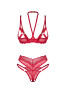 Cupide desir crotchless 2-pcs lingerie set Red