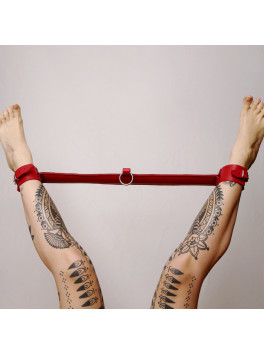 Leather Tie Bar and Ring Red